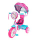 Triciclo Apache Trixie Unicornio Toldo, Barra Emp Y Bolsa