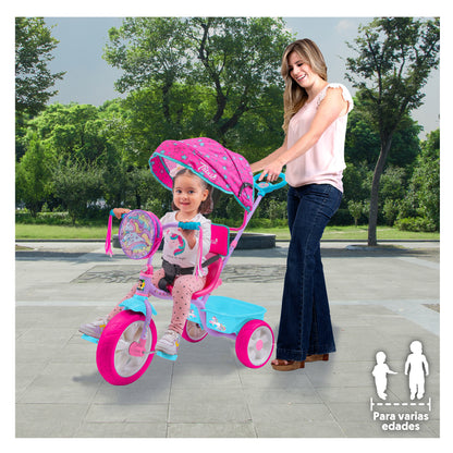 Triciclo Apache Trixie Unicornio Toldo, Barra Emp Y Bolsa